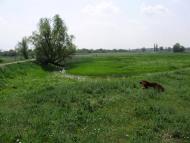 Мінеральні Води - Останні фото