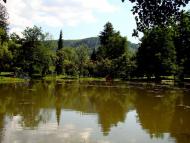 Карпати з panoramio.com