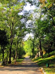 Корсунь-Шевченківський з panoramio.com