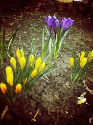 с. Правдовка