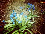 с. Правдовка