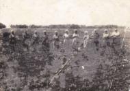 Сокиринцы, история, природа, люди.