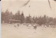 Сокиринцы, история, природа, люди.