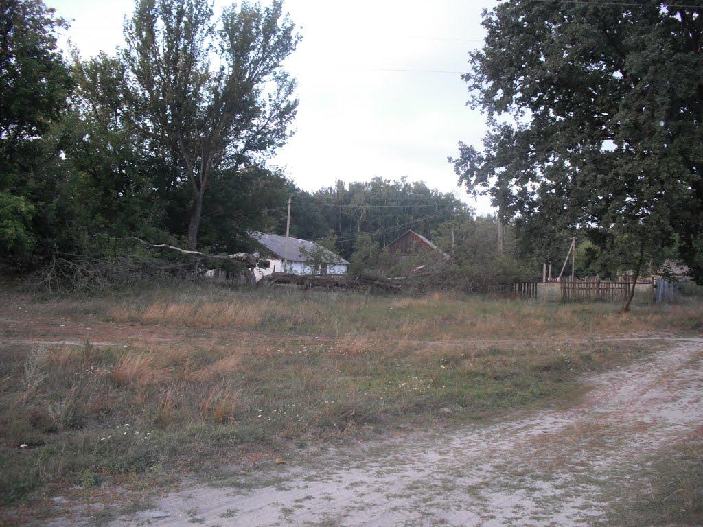 Любитове з panoramio.com - Любитово