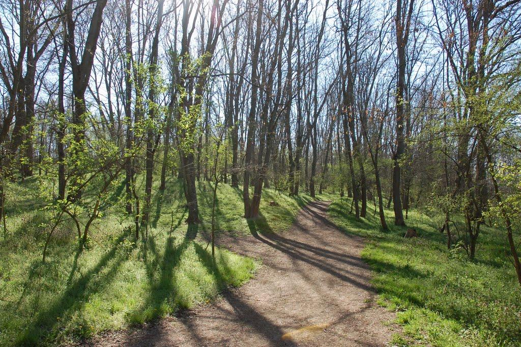 Водне з panoramio.com - Водне