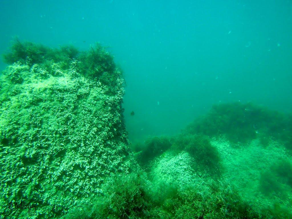 Форос з panoramio.com (ч.2) - Foros