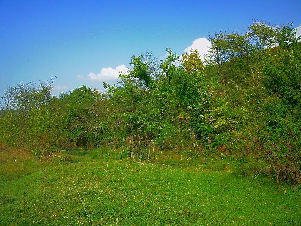 Богатир з panoramio.com - Богатир