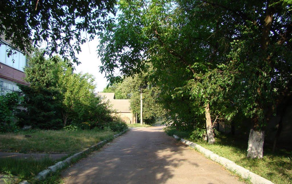 Косарі з panoramio.com (ч.2) - Косари