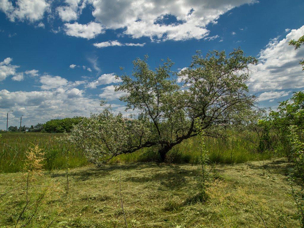 Бердянськ з panoramio.com (ч.3) - Berdyansk