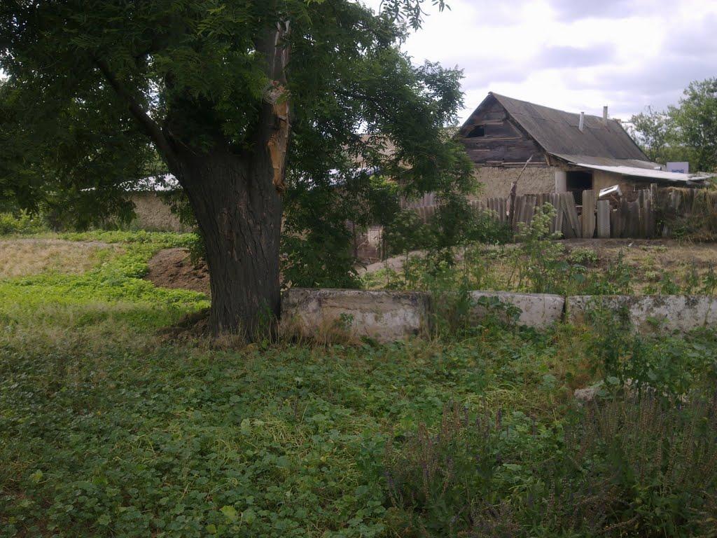 Юр'ївка з panoramio.com - Юр'ївка