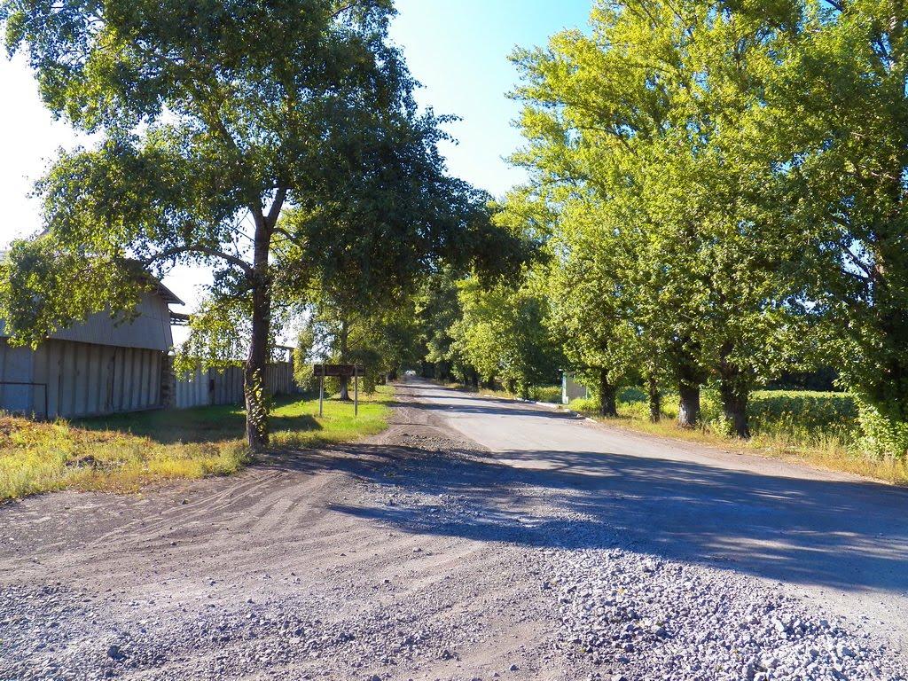 Петропавлівка з panoramio.com - Петропавловка