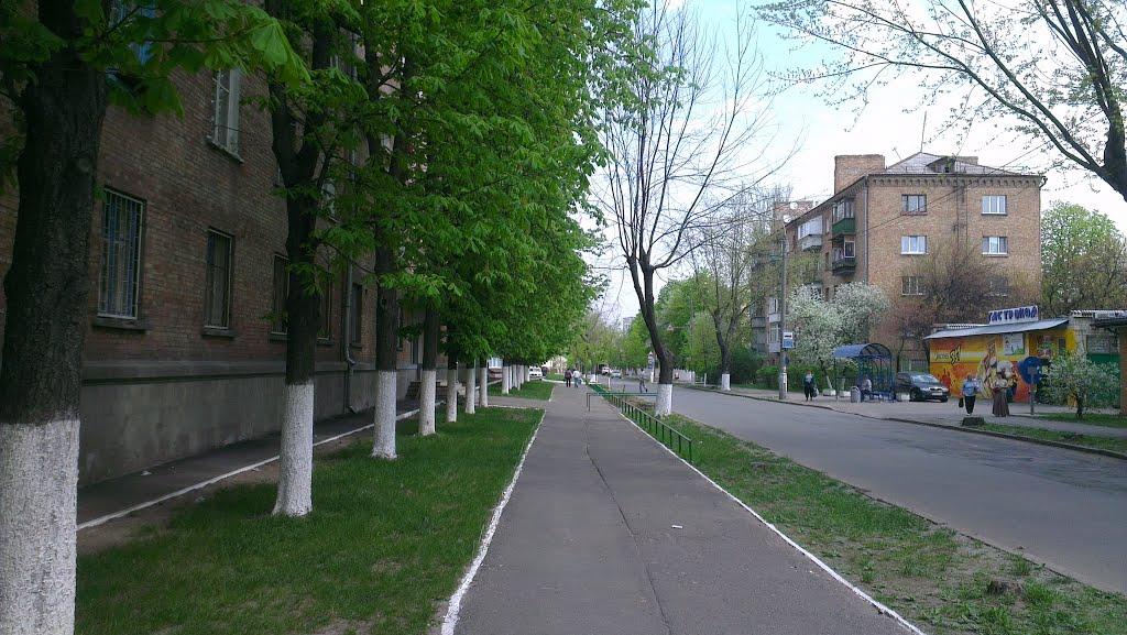 Софіївська Борщагівка з panoramio.com (ч.2) - Софиевская Борщаговка