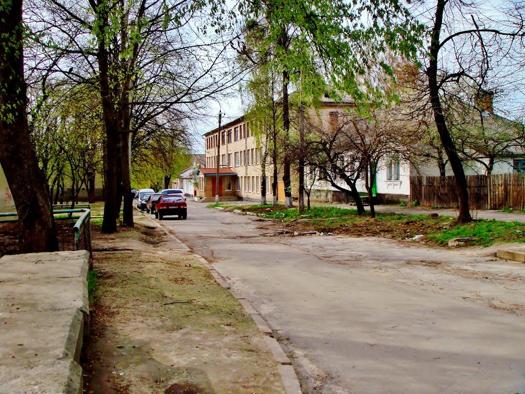 Гудзівка з panoramio.com - Gudzivka
