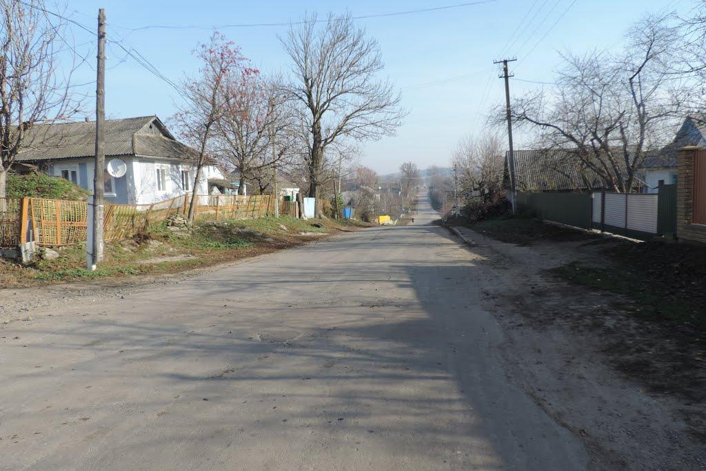 Віньківці з panoramio.com - Віньківці