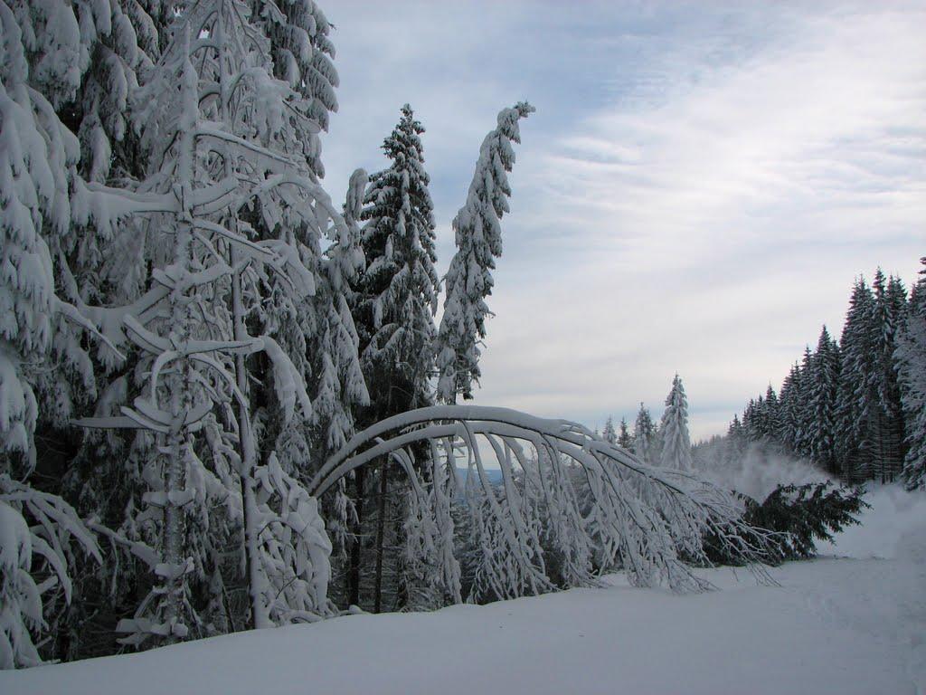 Паляниця з panoramio.com (ч.4) - Паляница