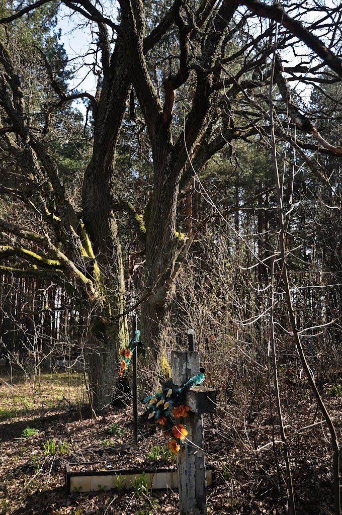Чорнобиль з panoramio.com (ч.2) - Чернобыль