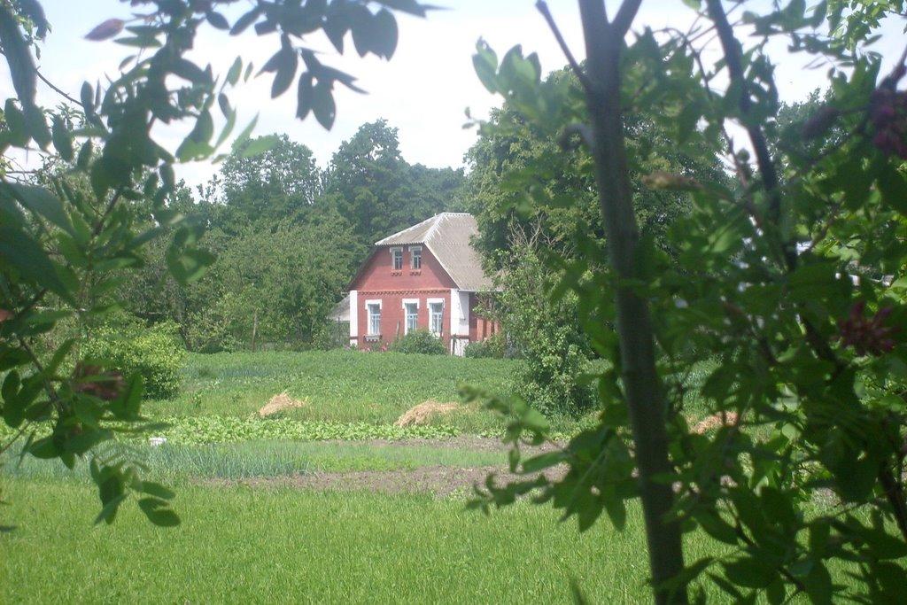 Сквира з panoramio.com - Сквира