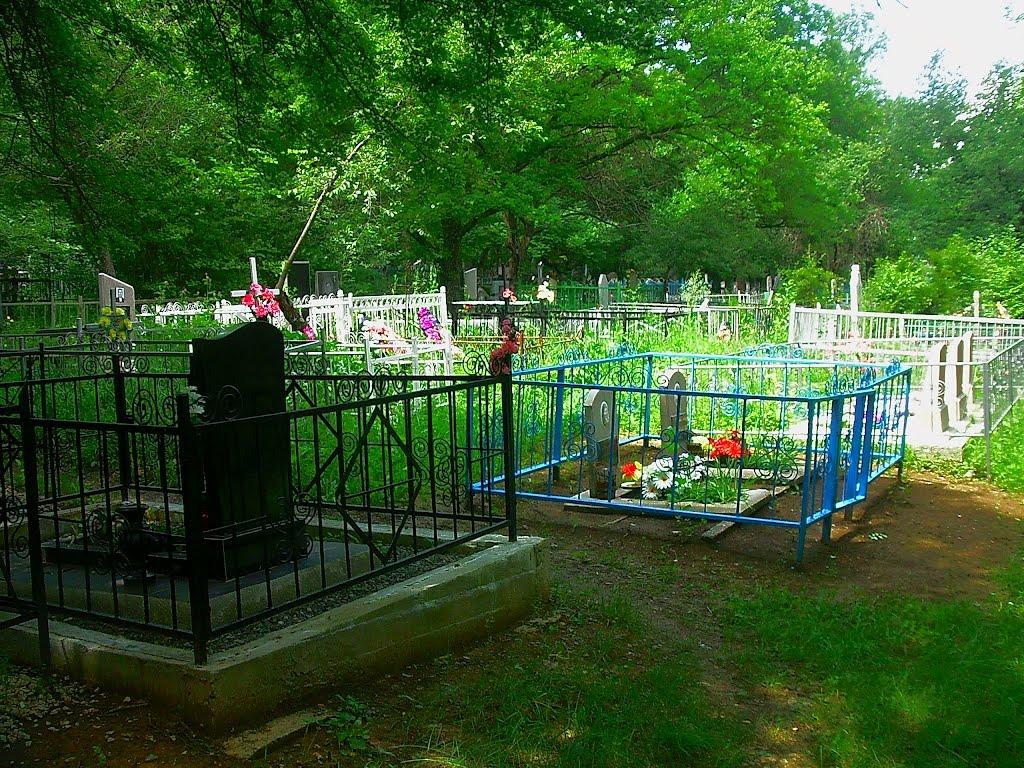 Краснолісся з panoramio.com - Краснолісся