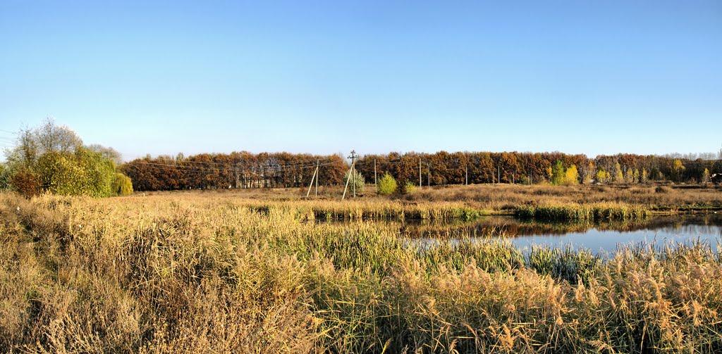 Шахтарськ з panoramio.com - Шахтерск