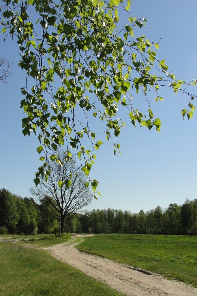 Гайове з panoramio.com - Гайове