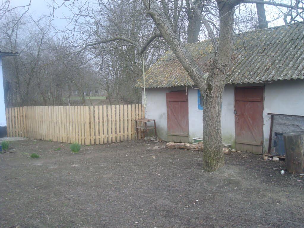 Ставчани з panoramio.com - Ставчаны