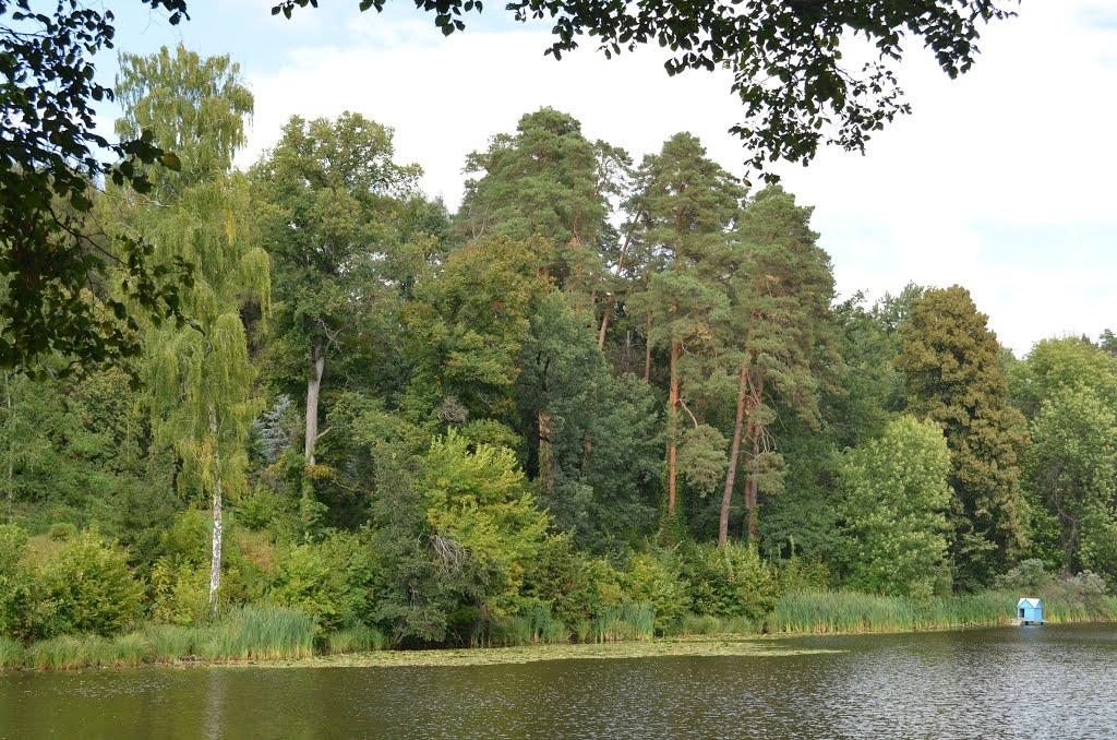 Васьківці з panoramio.com - Васьківці