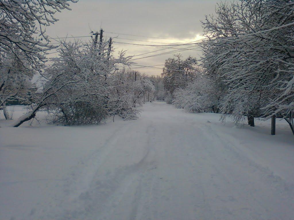 Гудзівка з panoramio.com - Gudzivka