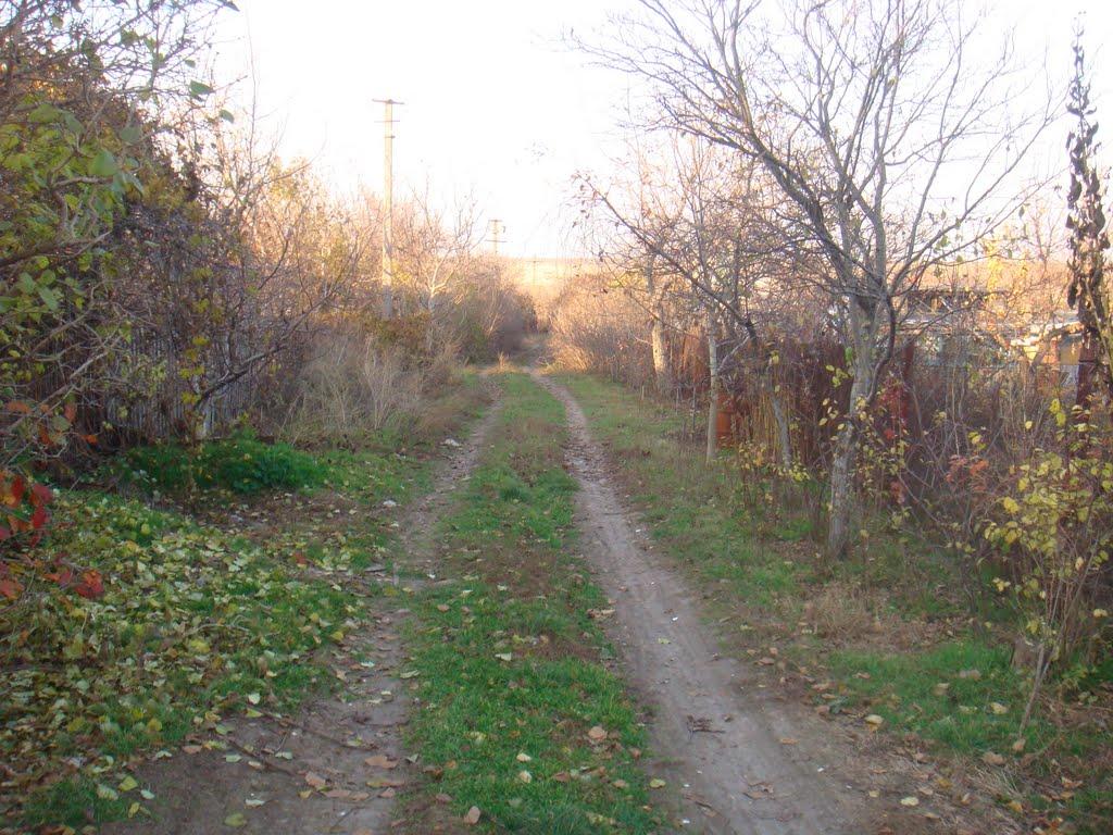 Переможне з panoramio.com - Переможне