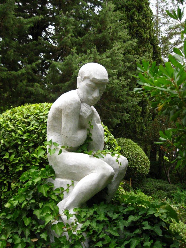 Паркове з panoramio.com - Паркове