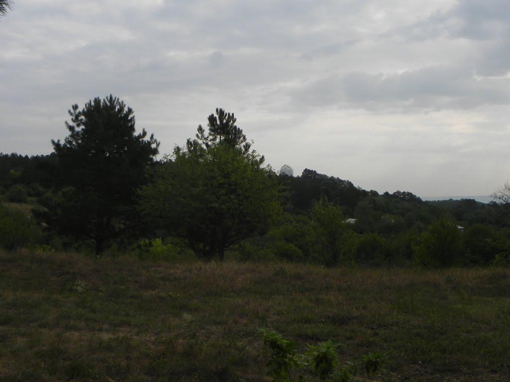 Научний з panoramio.com - Научний