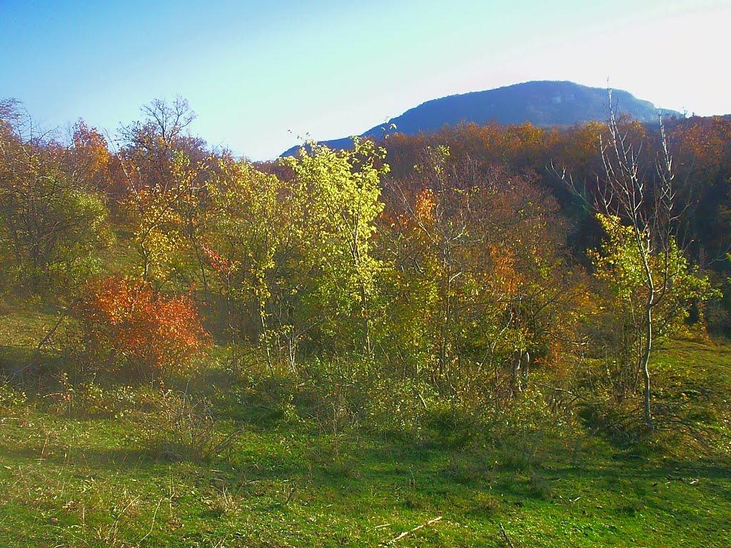 Нагірне з panoramio.com - Нагорное