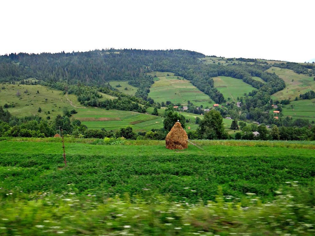 Осій з panoramio.com - Osiy