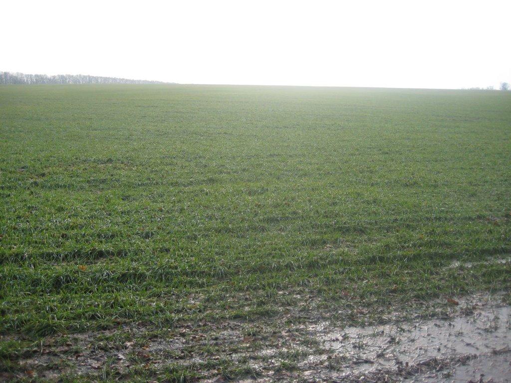 Губенське з panoramio.com - Губенское