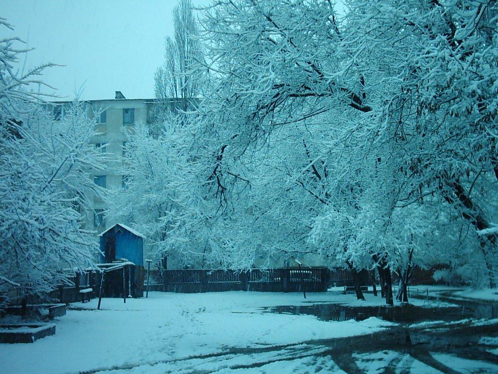 Сєверодонецьк з panoramio.com (ч.3) - Сєверодонецьк