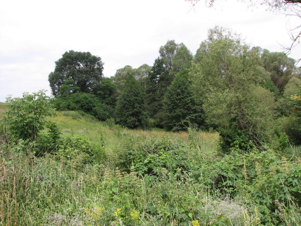 Іценків з panoramio.com - Иценков