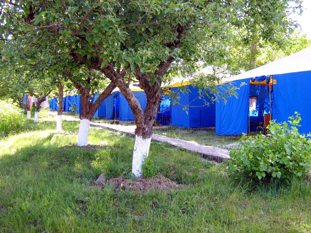 Скалисте з panoramio.com - Скалисте