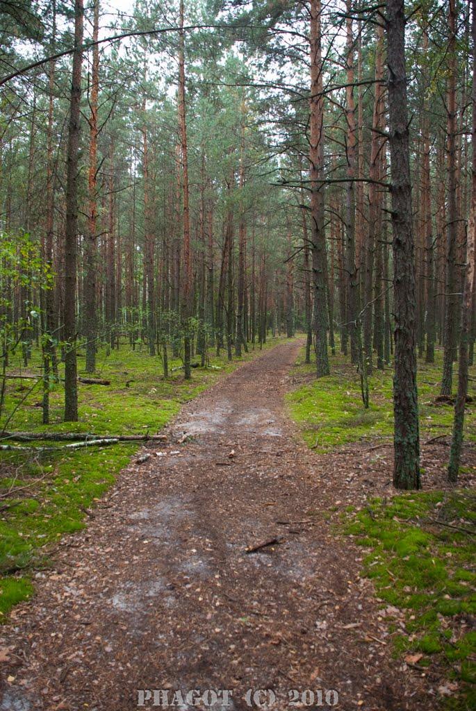 Стовпне з panoramio.com - Стовпне