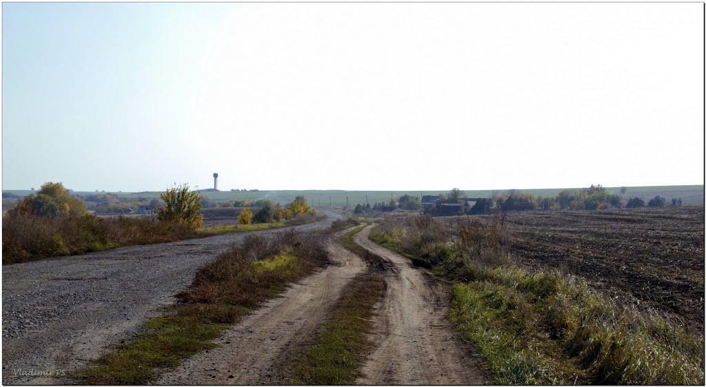 Олександро-Білівка з panoramio.com - Александро-Беловка