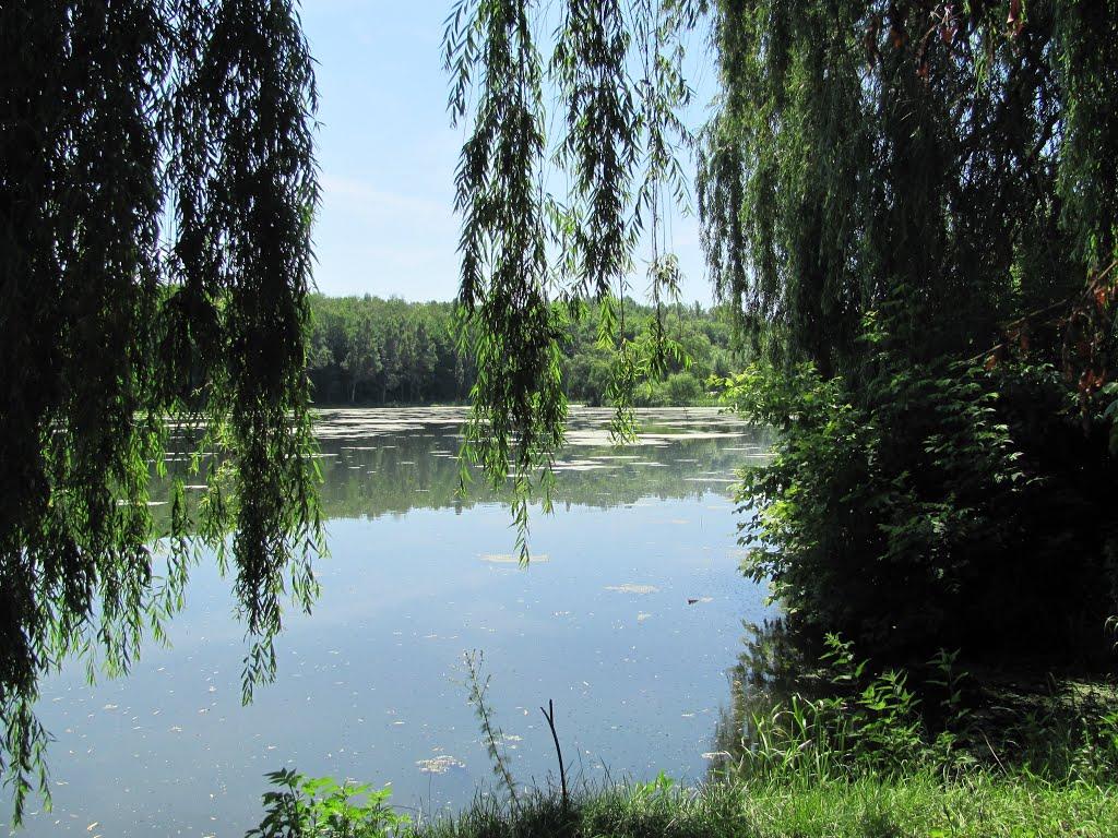 Юрківці з panoramio.com - Юрківці