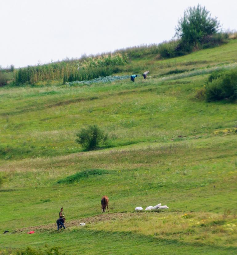 Вишка з panoramio.com - Вишка