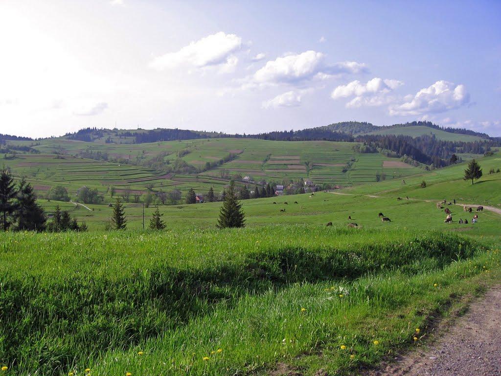 Пилипець з panoramio.com - Пилипець