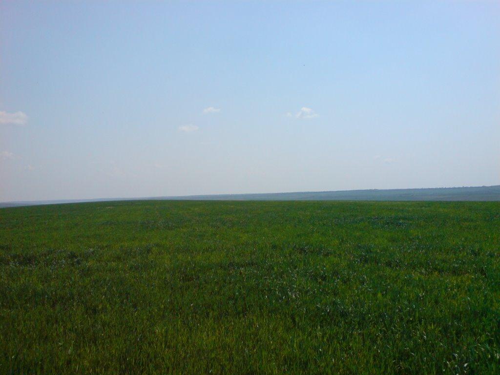 Балкове з panoramio.com - Балкове