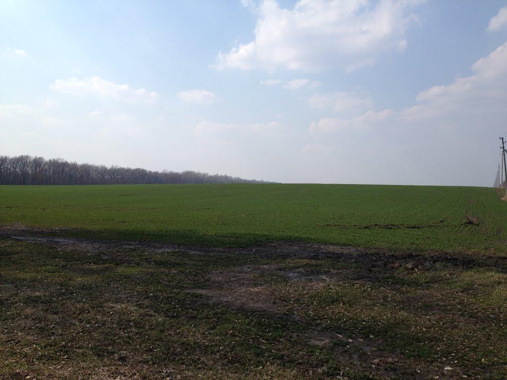 Безсалівка з panoramio.com - Безсалівка