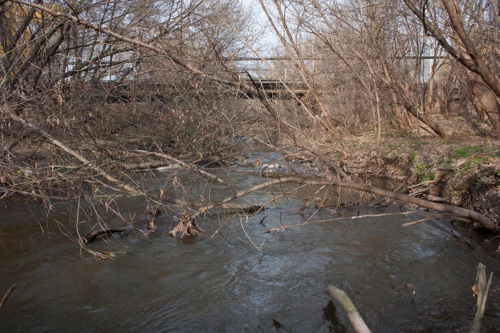 Новгородське з panoramio.com - Новгородське