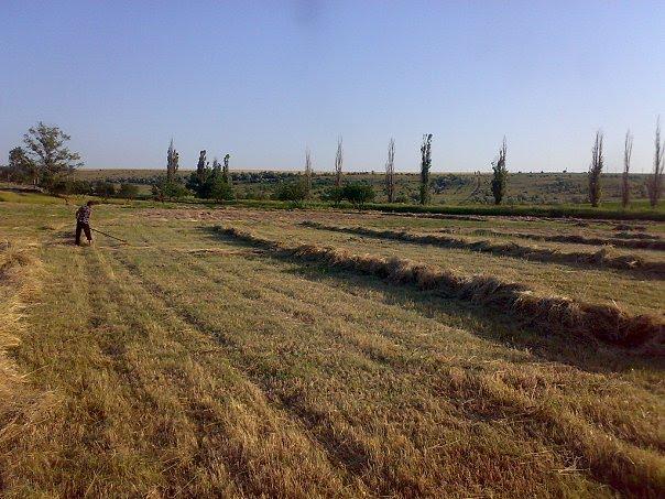 Балкове з panoramio.com - Балкове