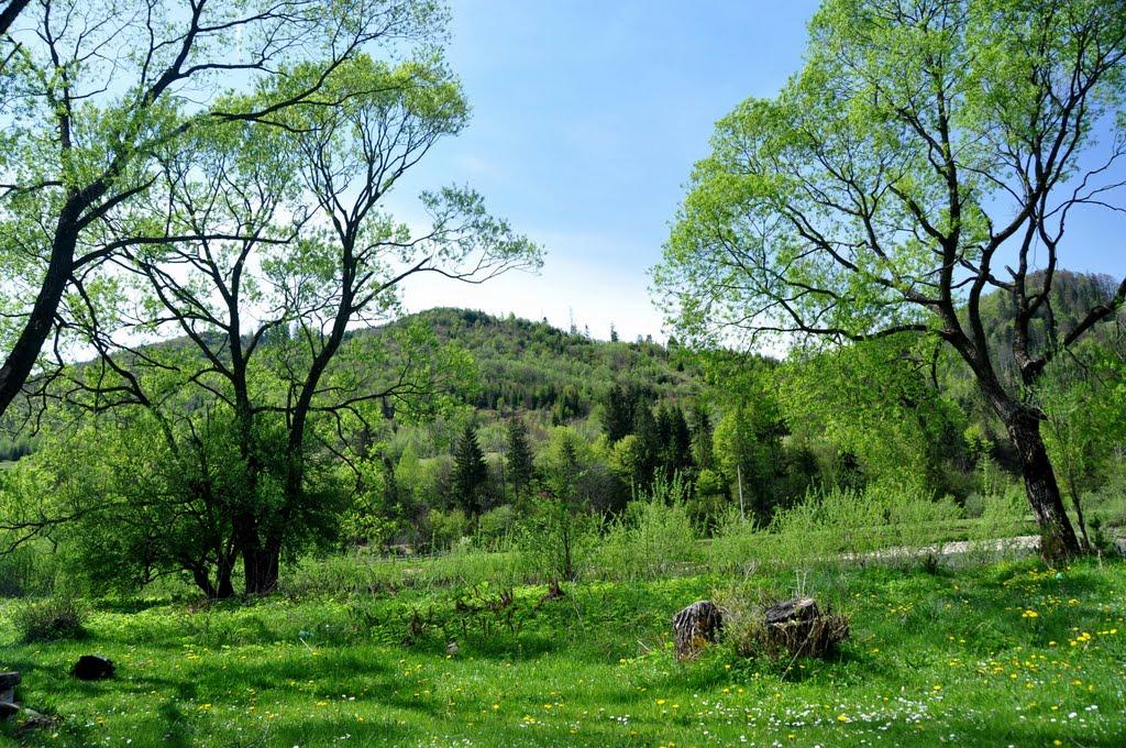 Тухля з panoramio.com - Тухля