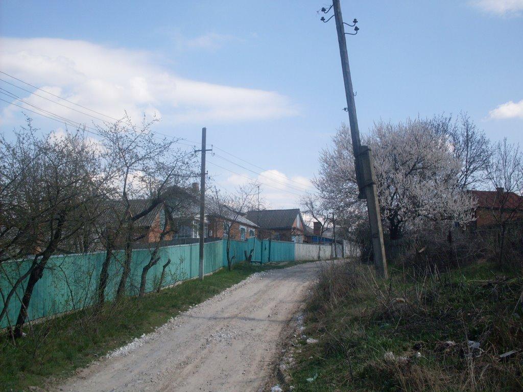 Гайсин з panoramio.com (ч.3) - Гайсин