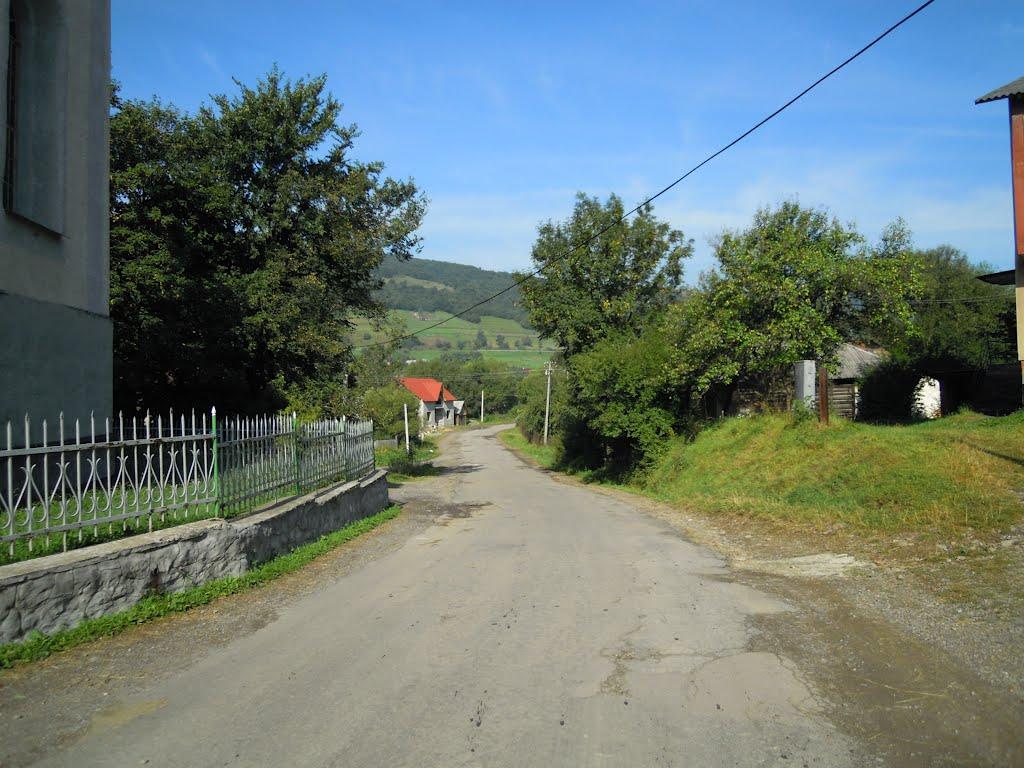 Нижні Ворота з panoramio.com - Нижні Ворота