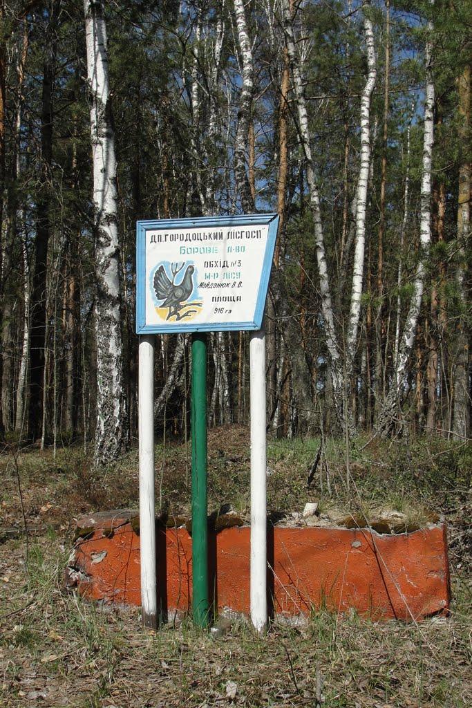 Світле з panoramio.com - Світле