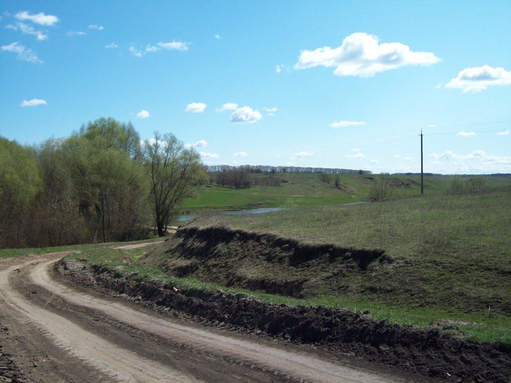 Бережівка з panoramio.com - Бережівка